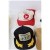 Image 6 : (12) Hats/Caps