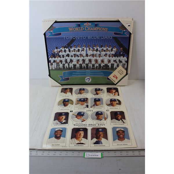 Toronto Blue Jays Picture - 20 1/2" x 16 1/2", 1994 Toronto Back-to-Back World Champions Picture - 1