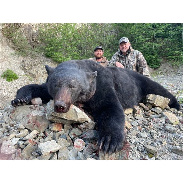 CANADIAN GUIDE: 5-Day Black Bear Hunt for One Hunter/One NH in B.C. - Includes Best Available Bear
