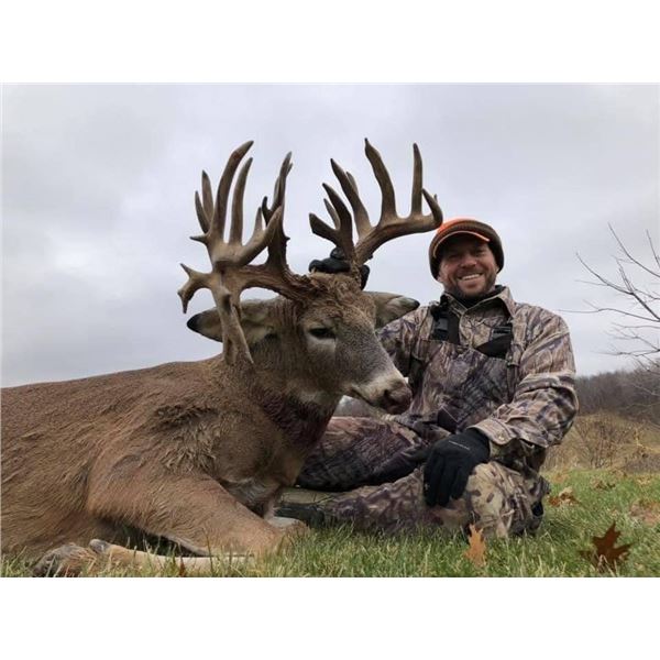 ALPHA WHITETAILS: 4-Day Whitetail FAIR CHASE Hunt for One Hunter in Illinois - Includes Trophy Fee