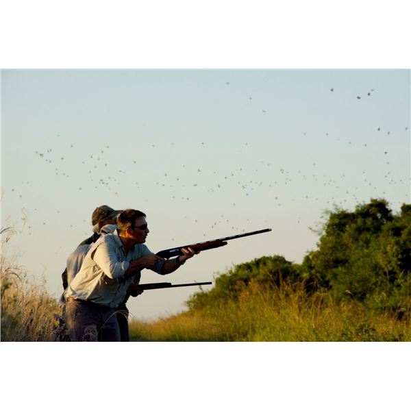 PARANA SUNRISE: 4-Day/5-Night Cast and Blast for Six in Argentina