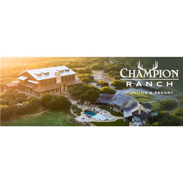 CHAMPION RANCH: 3-Day Nilgai Hunt for One Hunter/One NH in Texas - Includes Trophy Fee