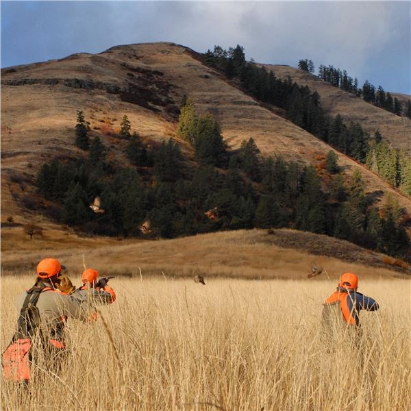FLYING B: 3-Day Upland Bird Wingshooting for Two in Idaho - Includes Orvis O/U FABARM Shotgun