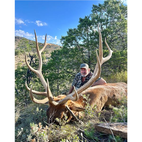 WILDLIFE SYSTEMS: 4-Day/4-Night Free-Range Elk Hunt for One Hunter in Texas - Includes Trophy Fee