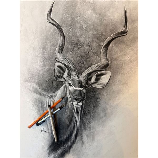 (UPDATED) JOSHUA SPIES: Original Charcoal  KUDU Drawing by Wildlife Artist Joshua Spies