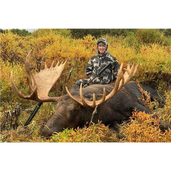 BEAR RIVER OUTFITTERS: 7-Day Moose Hunt for One Hunter in Alaska - Includes Trophy Fee
