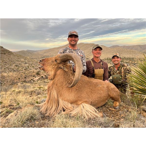 IRON MOUNTAIN: 3-Day Free-Range Aoudad Hunt for One Hunter/One NH in Texas - Includes Trophy