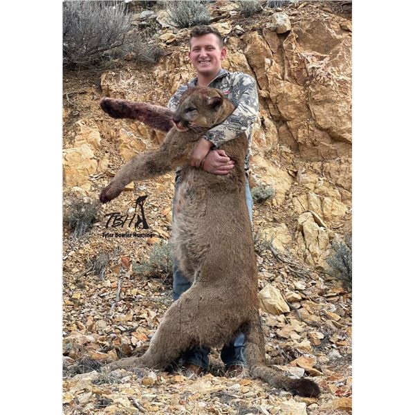 TYLER BOWLER: 6-Day Mountain Lion Hunt for One Hunter in Southern Utah/Nevada - Includes Trophy Fee