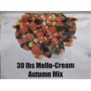 Image 1 : 30 LB Bulk Box of Mello-Cream Autumn Mix 