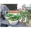 Image 1 : Silk Potted Succulent Plants