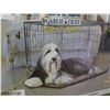 Image 4 : two door dog kennel 48x30x32" still in box
