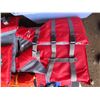 Image 3 : 4 life jackets, 3 are large one is for youth