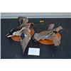 Image 1 : Taxidermy Bird Mounts x 2