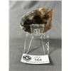 Image 2 : Ammonite Fossil. Retail Price $480.00