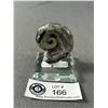 Image 1 : Orthoceras Goniatite Ammonite Fossil. Retail Price $480.00