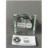 Image 2 : Orthoceras Goniatite Ammonite Fossil. Retail Price $480.00