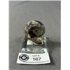 Image 1 : Orthoceras Goniatite Ammonite Fossil. Retail Price $480.00
