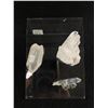 Image 1 : Clear Quartz Display. Retail Price $680.00