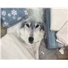 Image 1 : Lux Wolf/Nature Themed Bedding Queen Sized