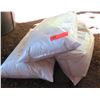 Image 1 : Qty 3 Bags Diatomaceous Earth