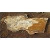 Image 1 : Mango Tree Slice Cross Section Slab 96" x 38" x 3" (Pick up Aug. 20)