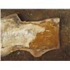 Image 2 : Mango Tree Slice Cross Section Slab 96" x 38" x 3" (Pick up Aug. 20)
