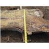 Image 8 : Mango Tree Slice Cross Section Slab 36" x 24" x 3"