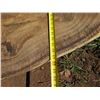 Image 8 : Monkey Pod Tree Slice Cross Section Slab 81" x 47" x 3" (Pick up Aug. 20)