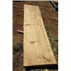 Image 1 : Norfolk Pine Tree Slice Cross Section Slab 81" x 21" x 2.5"