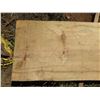 Image 2 : Norfolk Pine Tree Slice Cross Section Slab 81" x 21" x 2.5"