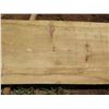 Image 3 : Norfolk Pine Tree Slice Cross Section Slab 81" x 21" x 2.5"