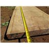 Image 6 : Norfolk Pine Tree Slice Cross Section Slab 81" x 21" x 2.5"