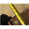 Image 7 : Norfolk Pine Tree Slice Cross Section Slab 81" x 21" x 2.5"