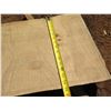 Image 8 : Norfolk Pine Tree Slice Cross Section Slab 71" x 15" x 2.5"