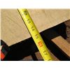 Image 9 : Norfolk Pine Tree Slice Cross Section Slab 71" x 15" x 2.5"