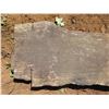 Image 2 : Mango Tree Slice Cross Section Slab 90" x 20" x 3"