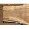 Image 2 : Monkey Pod Tree Slice Cross Section Slab 57" x 40" x 3"