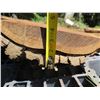 Image 11 : Milo Tree Slice Cross Section Slab 44" x 30" x 4"