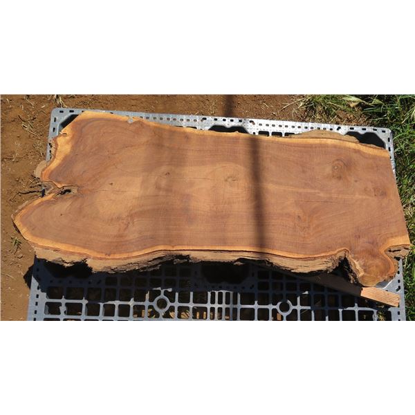 Milo Tree Slice Cross Section Slab 44" x 30" x 4"