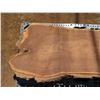 Image 2 : Milo Tree Slice Cross Section Slab 44" x 30" x 4"