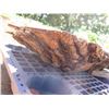 Image 4 : Milo Tree Slice Cross Section Slab 44" x 30" x 4"