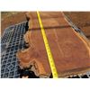 Image 6 : Milo Tree Slice Cross Section Slab 44" x 30" x 4"