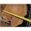 Image 8 : Milo Tree Slice Cross Section Slab 44" x 30" x 4"