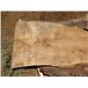 Image 2 : Mango Tree Slice Cross Section Slab 64" x 28" x 3"