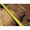 Image 8 : Mango Tree Slice Cross Section Slab 64" x 28" x 3"