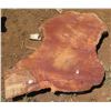 Image 1 : Lychee Tree Slice Cross Section Slab 36" x 36" x 3"
