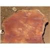 Image 2 : Lychee Tree Slice Cross Section Slab 36" x 36" x 3"