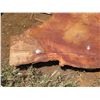 Image 3 : Lychee Tree Slice Cross Section Slab 36" x 36" x 3"