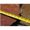 Image 6 : Lychee Tree Slice Cross Section Slab 36" x 36" x 3"