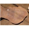 Image 3 : Lychee Tree Slice Cross Section Slab 38" x 28" x 3"